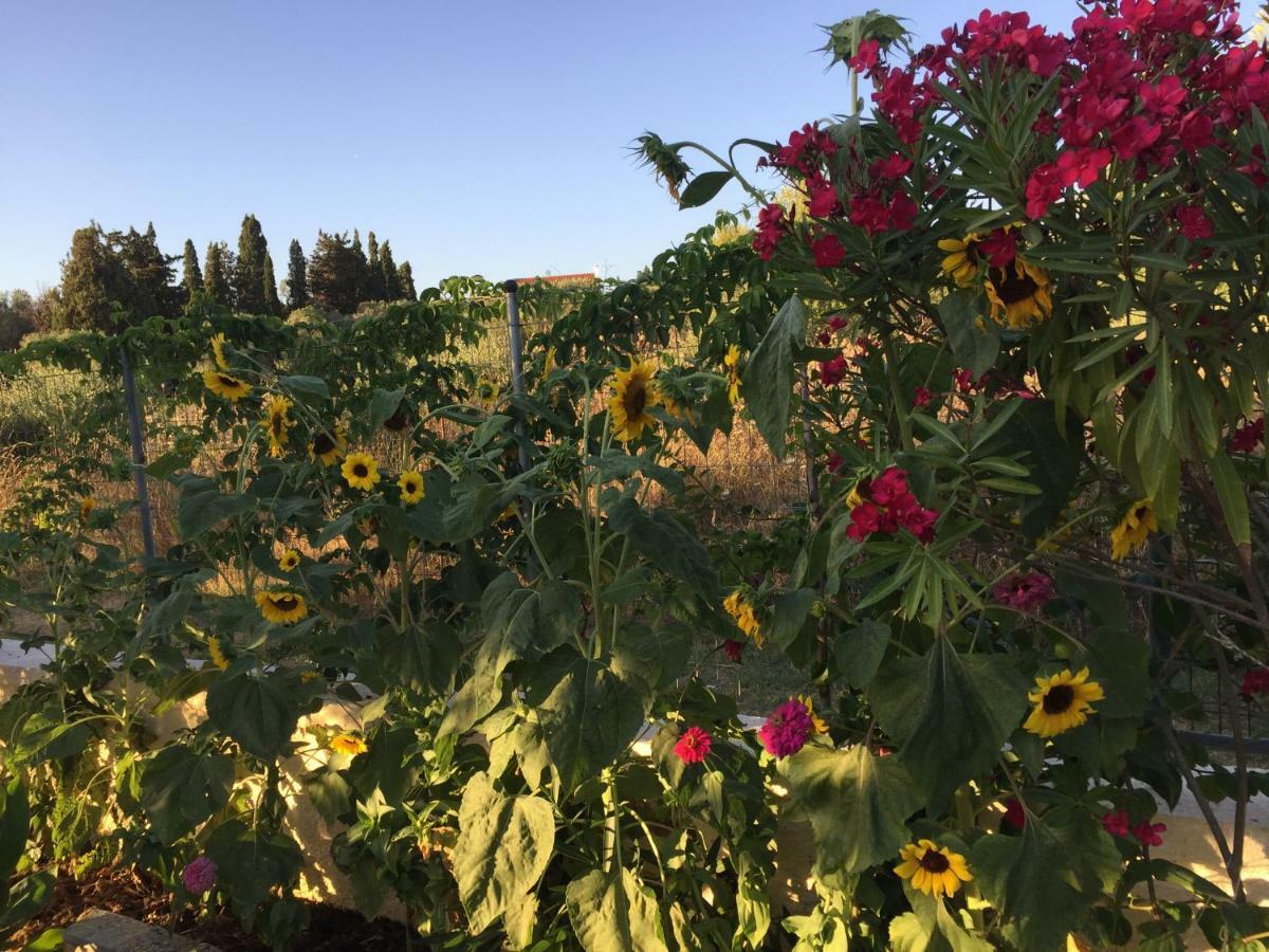Villa Pelagia Svoronata Esterno foto